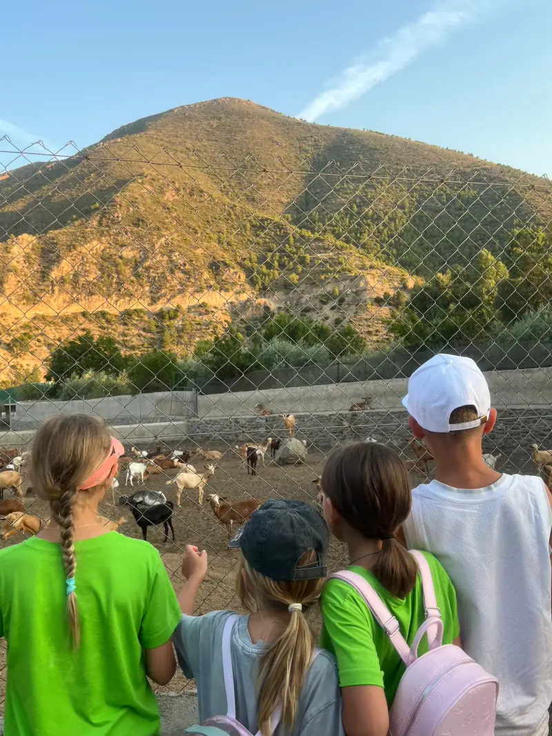Children seen from behind at a wire fence look at a herd of goats on a dry slope; a green hill rises behind them under a blue sky.